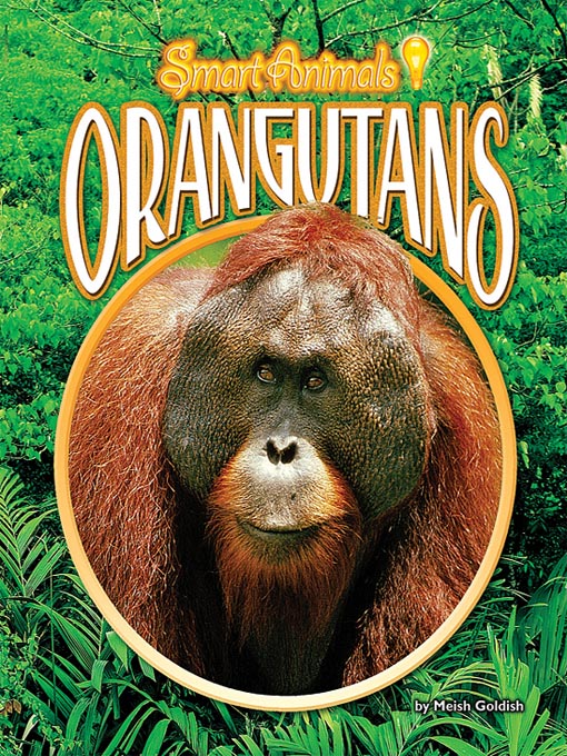 Title details for Orangutans by Meish Goldish - Available